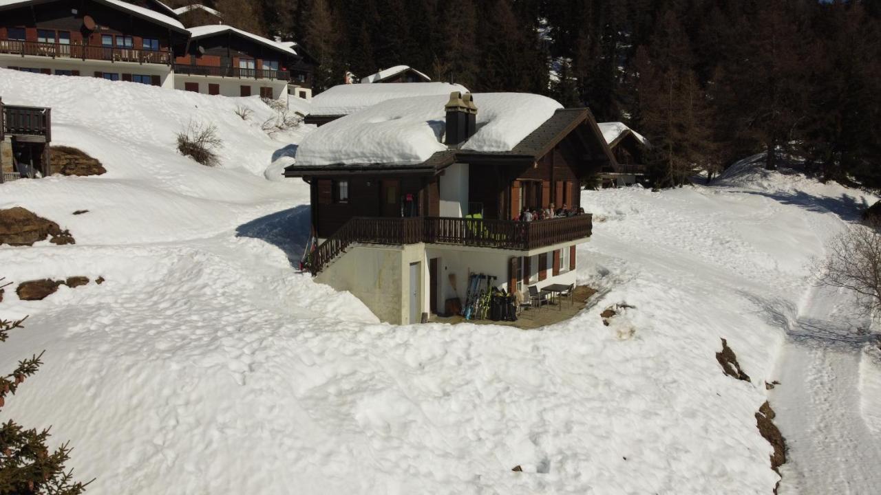 Chalet Foresta Bettmeralp Bagian luar foto