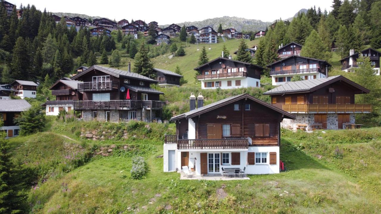 Chalet Foresta Bettmeralp Bagian luar foto