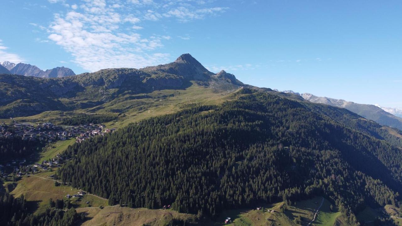 Chalet Foresta Bettmeralp Bagian luar foto
