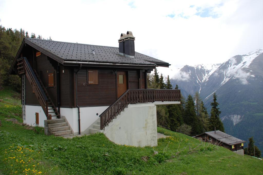Chalet Foresta Bettmeralp Bagian luar foto