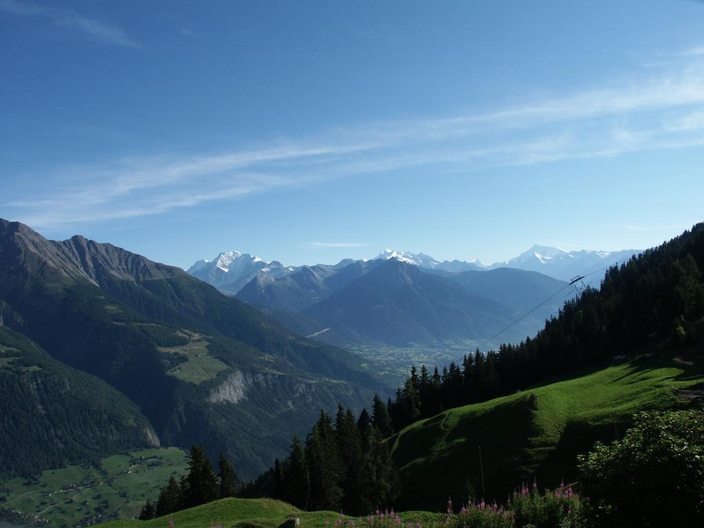 Chalet Foresta Bettmeralp Bagian luar foto