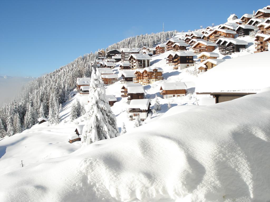 Chalet Foresta Bettmeralp Bagian luar foto