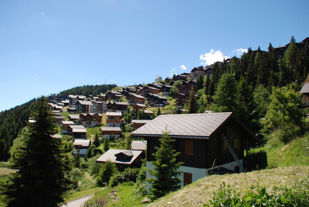 Chalet Foresta Bettmeralp Bagian luar foto