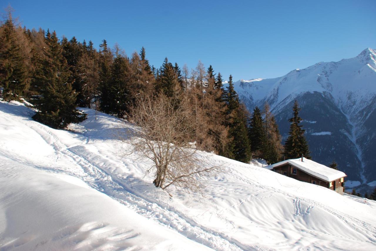 Chalet Foresta Bettmeralp Bagian luar foto