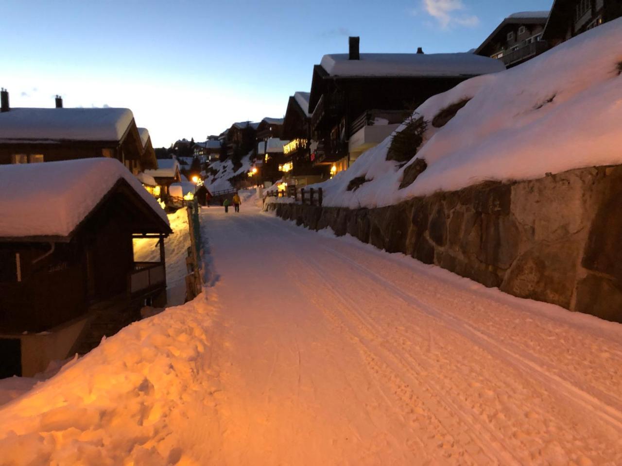 Chalet Foresta Bettmeralp Bagian luar foto
